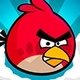 Angry birds