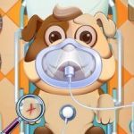 Постер игры Дневной Уход за животными | Animal Daycare