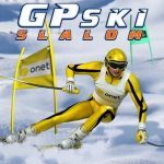Постер игры Лыжный Слалом GP | GP Ski Slalom