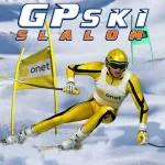 Постер Лыжный Слалом GP | GP Ski Slalom