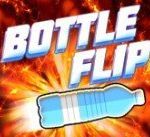 Картинка Bottle Flip Challenge