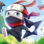 Постер игры Кролик Ниндзя | Ninja Rabbit's