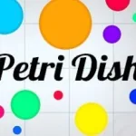 Постер Чашка Петри | PetriDish.pw