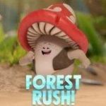 Картинка Forest Rush