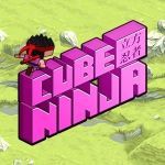 Постер игры Куб Ниндзя | Cube Ninja