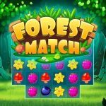 Постер игры Лесной Матч | Forest Match