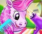 Картинка Pony Pet Salon!