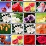 Картинка Mahjong Flower Country