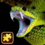 Картинка Snake Puzzle Challenge