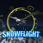Картинка Snowflight