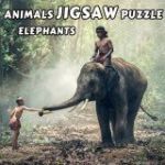 Картинка Animals Jigsaw Puzzle Elephants