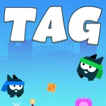Тег