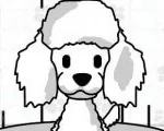 Дни Собачьего Салона | Pet Salon Doggy Days