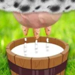 Игра Доить корову | Milk the Cow