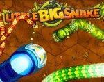Little Big Snake.io | Большая Змейка ио