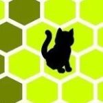 Поймай Кота