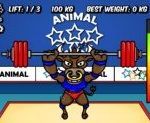 Олимпиада животных: тяжелая атлетика | Animal Olympics - Weight Lifting
