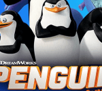 Пингвин бой | penguin fight