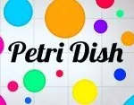 Игра Чашка Петри | PetriDish.pw