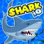 Акула.io | Shark.io