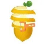 Идеальная Чистка