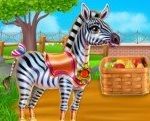 Зебра Забота | Zebra Caring
