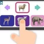 Детеныш Животного