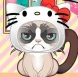 Игра Какая Ты Кошка?