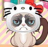 Игра Какая Ты Кошка?