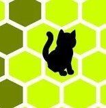 Игра Поймай Кота