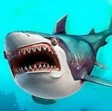 Игра Арена голодных акул | Hungry Shark Arena