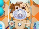 Игра Дневной Уход за животными | Animal Daycare