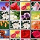 Игра Маджонг Цветочная Страна