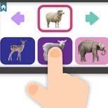 Игра Детеныш Животного