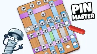 Pin Master