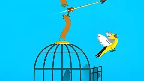Игра Освободи Птичку