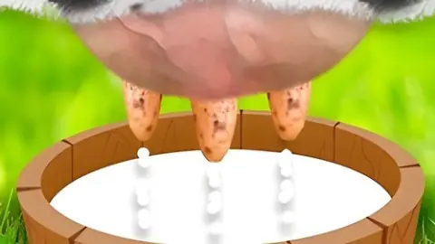 Игра Доить корову | Milk the Cow